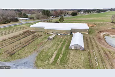 8416 Harmony Road, Denton, MD 21629 - Photo 55