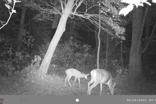 25095 Trunk Line Rd, Henderson, MD 21640 - Photo 37