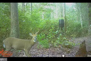 25095 Trunk Line Rd, Henderson, MD 21640 - Photo 39