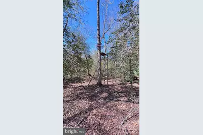 25095 Trunk Line Road, Henderson, MD 21640 - Photo 35