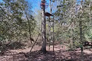 25095 Trunk Line Rd, Henderson, MD 21640 - Photo 35