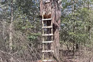 25095 Trunk Line Rd, Henderson, MD 21640 - Photo 33