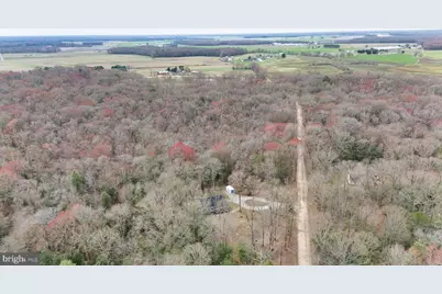 25095 Trunk Line Road, Henderson, MD 21640 - Photo 21