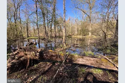 27202 Sandtown Road, Goldsboro, MD 21636 - Photo 1