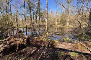 27202 Sandtown Rd, Goldsboro, MD 21636 - Photo 1