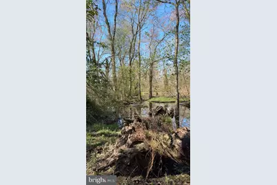 27202 Sandtown Road, Goldsboro, MD 21636 - Photo 9