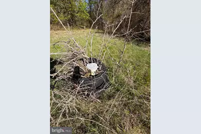 27202 Sandtown Road, Goldsboro, MD 21636 - Photo 5