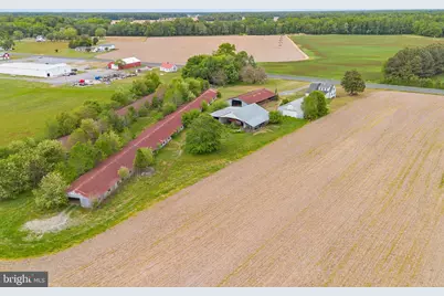 25699 Auction Road, Federalsburg, MD 21632 - Photo 41
