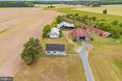 25699 Auction Road, Federalsburg, MD 21632 - Photo 37