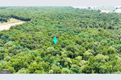 0 Trunk Road, Henderson, MD 21640 - Photo 3