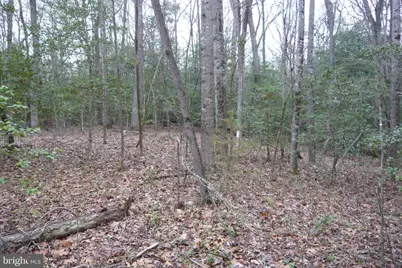 0 Trunk Road, Henderson, MD 21640 - Photo 11
