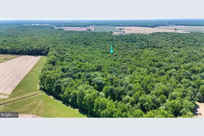 0 Trunk Road, Henderson, MD 21640 - Photo 5