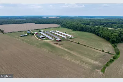 7347 Harmony Road, Preston, MD 21655 - Photo 15