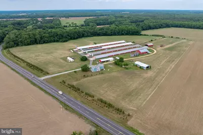 7347 Harmony Road, Preston, MD 21655 - Photo 13