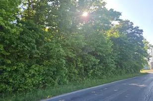 Lot 4 River Rd, Greensboro, MD 21639 - Photo 1