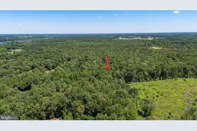 8605 Hickory Place, Denton, MD 21629 - Photo 37