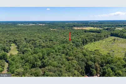 8605 Hickory Place, Denton, MD 21629 - Photo 29
