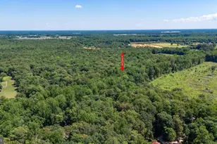 8605 Hickory Pl, Denton, MD 21629 - Photo 29
