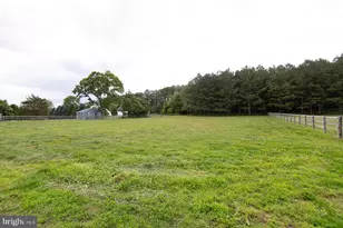 12136 Holly Rd, Ridgely, MD 21660 - Photo 99