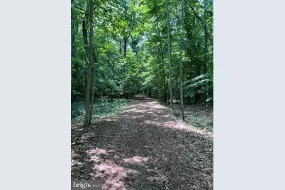 8047 Laurel Lane, Denton, MD 21629 - Photo 61