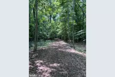 8047 Laurel Lane, Denton, MD 21629 - Photo 55