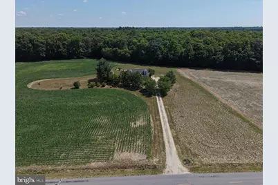 27518 Possum Hill Road, Federalsburg, MD 21632 - Photo 55