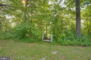8821 Dorothy Ln, Denton, MD 21629 - Photo 19