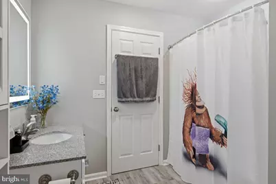 3410 Seaman Road, Preston, MD 21655 - Photo 57