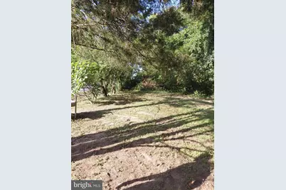 4471 Harmony Road, Preston, MD 21655 - Photo 3