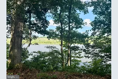 8851 New Bridge Road, Denton, MD 21629 - Photo 5