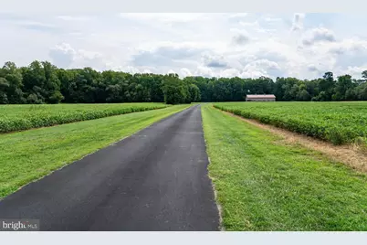 5315 Smithville Road, Federalsburg, MD 21632 - Photo 59
