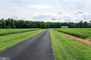 5315 Smithville Rd, Federalsburg, MD 21632 - Photo 59