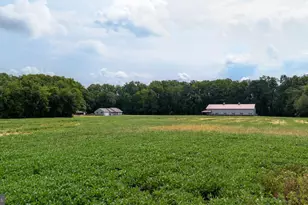 5315 Smithville Rd, Federalsburg, MD 21632 - Photo 57