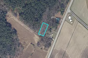 Houston Branch Rd, Federalsburg, MD 21632 - Photo 1