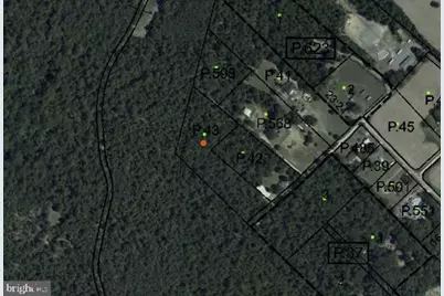 0 Houston Branch Road, Federalsburg, MD 21632 - Photo 1