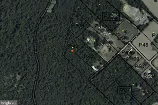 Houston Branch Rd, Federalsburg, MD 21632 - Photo 1