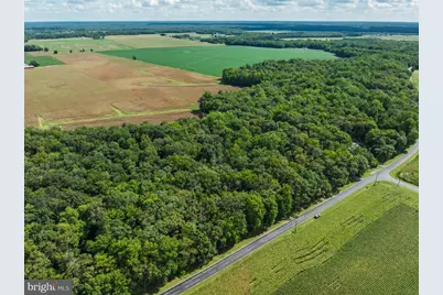 Lot 4 River Road, Greensboro, MD 21639 - Photo 13