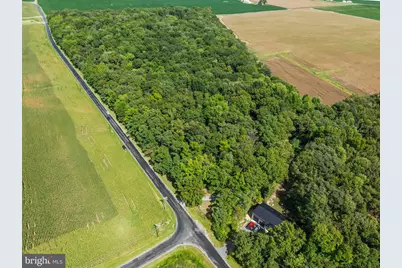 Lot 4 River Road, Greensboro, MD 21639 - Photo 15