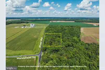 Lot 4 River Road, Greensboro, MD 21639 - Photo 3