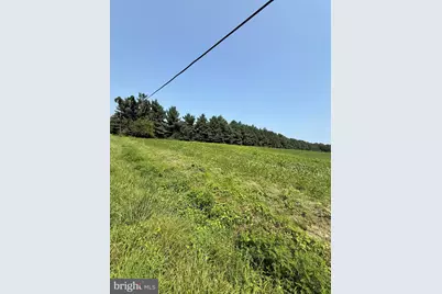 0000 Harmony Rd., Preston, MD 21655 - Photo 3