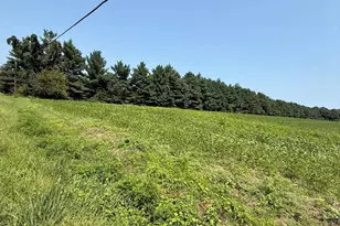 0000 Harmony Rd, Preston, MD 21655 - Photo 3