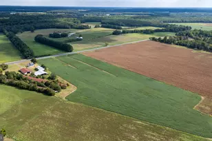 25699 Auction Rd, Federalsburg, MD 21632 - Photo 39