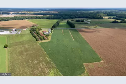 25699 Auction Road, Federalsburg, MD 21632 - Photo 37