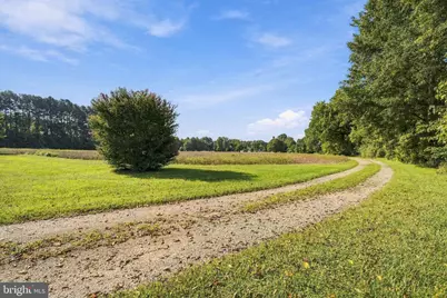 [Address not provided], Ridgely, MD 21660 - Photo 21