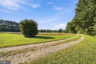 [Address not provided], Ridgely, MD 21660 - Photo 21