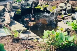 104 Riverton Ave, Denton, MD 21629 - Photo 23