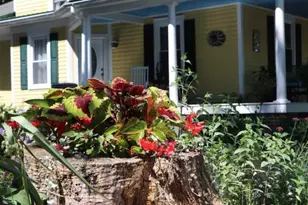 104 Riverton Ave, Denton, MD 21629 - Photo 5