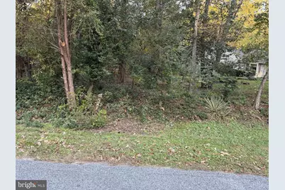 Woods Drive, Denton, MD 21629 - Photo 3