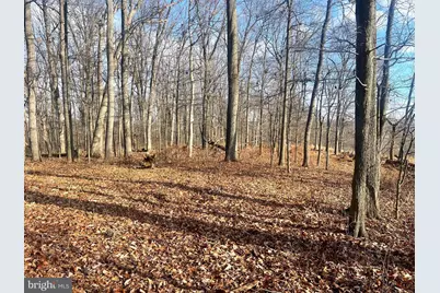 2650-2652 Baumgardner Road, Westminster, MD 21158 - Photo 5