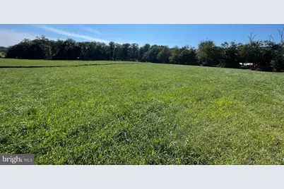 Cabbage Spring, Mount Airy, MD 21771 - Photo 9